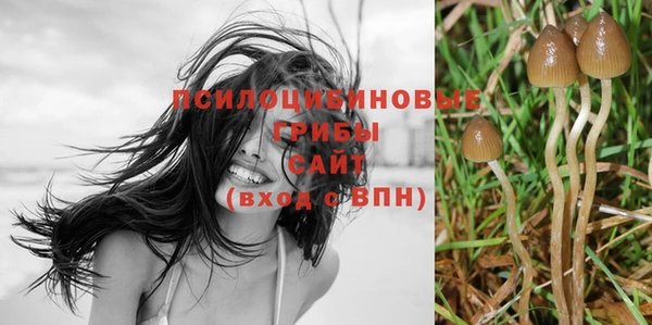 прущий лед Алексин