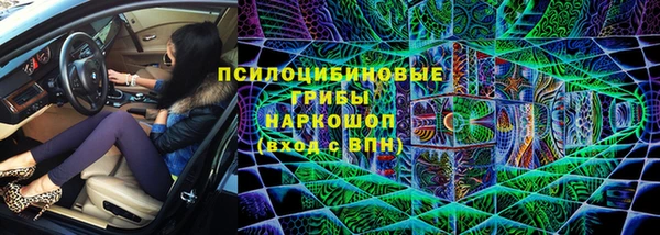 прущий лед Алексин